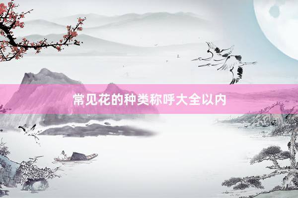 常见花的种类称呼大全以内