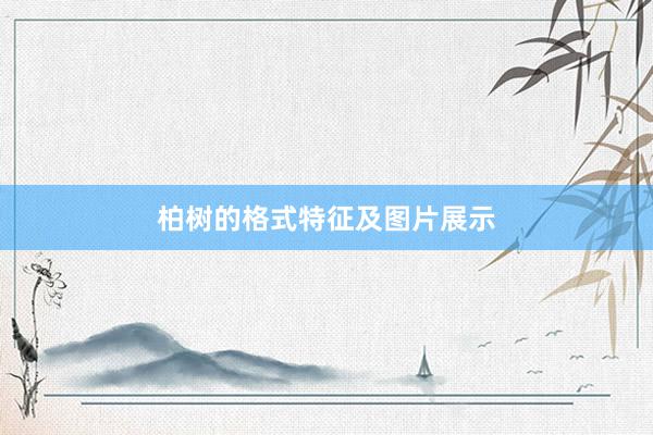 柏树的格式特征及图片展示