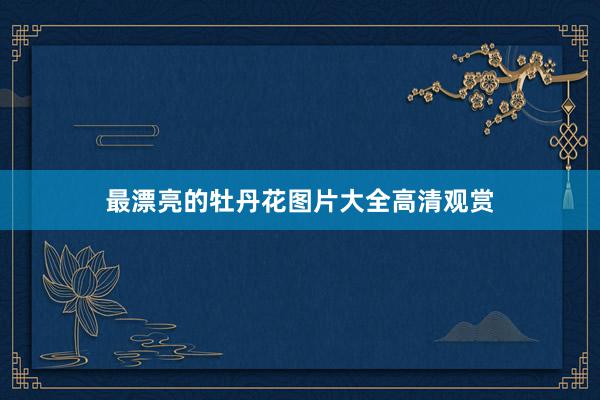 最漂亮的牡丹花图片大全高清观赏