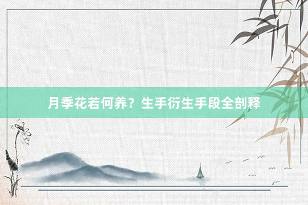 月季花若何养？生手衍生手段全剖释