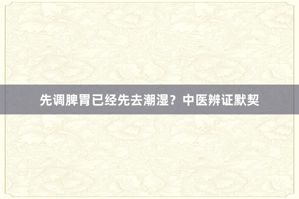 先调脾胃已经先去潮湿？中医辨证默契